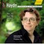 T. Fey / Heidelberger Sinfoniker - Sinfonien 93,96+97