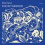 Philipp Wisser's Blind Spot - Frontmirror