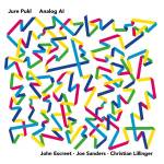 Jure Pukl - Analog AI