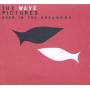 The Wave Pictures - Beer In The Breakers