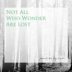 Paint The Sky Red - Not All Who Wonder Are Lost