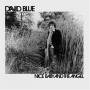David Blue - Nice Baby & Angel