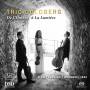 Trio Goldberg - De l'Ombre  la Lumire