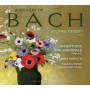 Andrew Rangell - A Bouquet of Bach