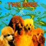 Two Gees - From The 70S