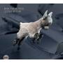 Aron Trio Tlas - Little Beggar
