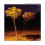 Pete Herbert / Pete Denev - Made In The Shade