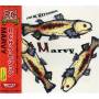 Rc Succession - Marvy