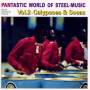 Various - Pantastic World Of Steel-music Vol.2: Calypsoes &
