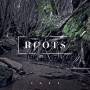 Ages - Roots