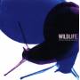 Anthony Phillips And Joji Hirota - Wildlife 2CD Remastered and Expanded Edition