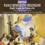 I Solisti Dell Ensemble Respighi - 12 Kirchensonaten