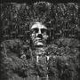 Suicide Forest - Reluctantly