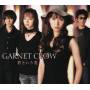 Garnet Crow - Kimitoiu Hikari