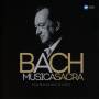 Nikolaus Harnoncourt / CMW - Musica Sacra