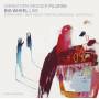 Christoph Irniger / Pilgrim - Big Wheel