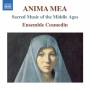 Ensemble Cosmedin - Anima Mea-Geistliche Musik des Mittelalters
