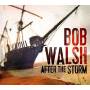 bob Walsh - After The Storm