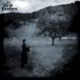The Dead Brothers - Angst