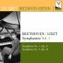Idil Biret - Symphonien Vol.1