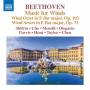 Taylor / Chen / Shifrin / Cho / + - Music for Winds