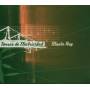 Manta Ray - Torres De Electricidad