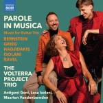 Volterra Project Trio - Parole in Musica