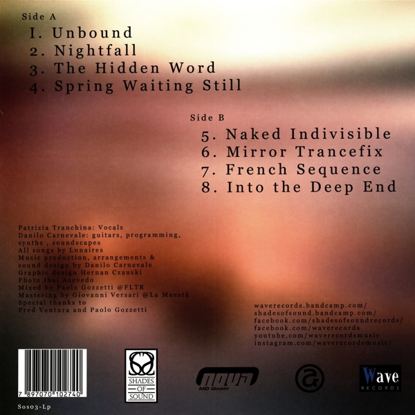 If All the Ice Melted LP 1