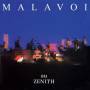 Malavoi - Au Zenith (live)
