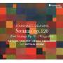 Antoine Tamestit / Cdric Tiberghien / Matthias Goerne - Viola Sonatas op.120-Zwei Gesnge,op.91