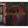 Perfect Best / Various (jpn) - Perfect Best / Various