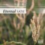 E. Satie - Eternal Satie / Various