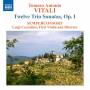 Semperconsort - 12 Triosonaten op.1