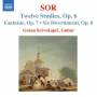 Goran Krivokapic - 12 Studien/Fantasie/6 Divertimenti