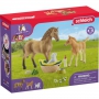 Schleich - Schleich Horse Club 42432 Sarahs Cub Care Kit