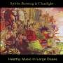 Spirits Burning & Clearlights - Healthy Music In Large Doses