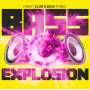 Various - Bass Explosion
