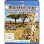 African Safari Adventure - African Safari Adventure 3D (B [Regio free (0)]