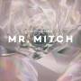 Mr.mitch - Parallel Memories