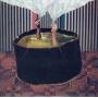 The Phantom Band - The Wants (Deluxe Limited Edition)