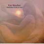 Fair Weather - Beginning From An End