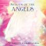 Mo Coulson / Chris Conway - Spirit Of The Angels