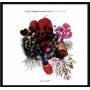 Pascal Niggenkemper / Vision 7 - Lucky Prime
