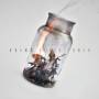 Veins - Glass Tower