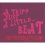 V / A - A Trip Just A Little Beat