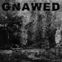 Gnawed - Feign And Cloak