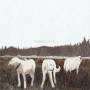 Foxing - The Albatross: Ten Years (Brown Vinyl LP)