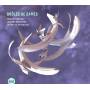 Fabrice Martinez / Laurent Bardainne / De Pourqu - Drles de Dames