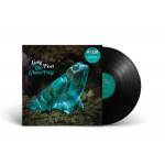 Greg Foat - The Glass Frog