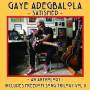 Gaye Adegbalola - Satisfied